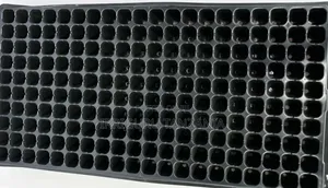 Mult-cell Trays
