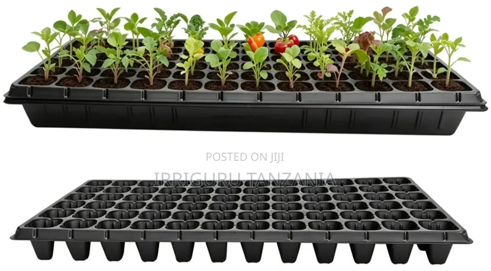Potting Trays