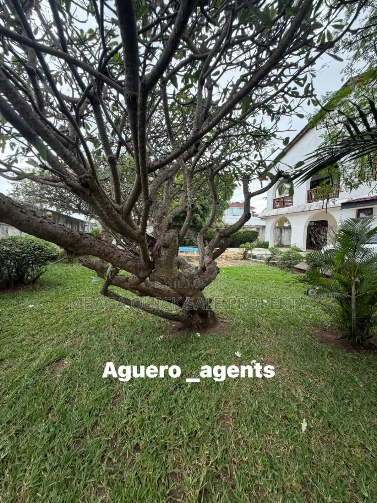 4bdrm House in Masaki for rent