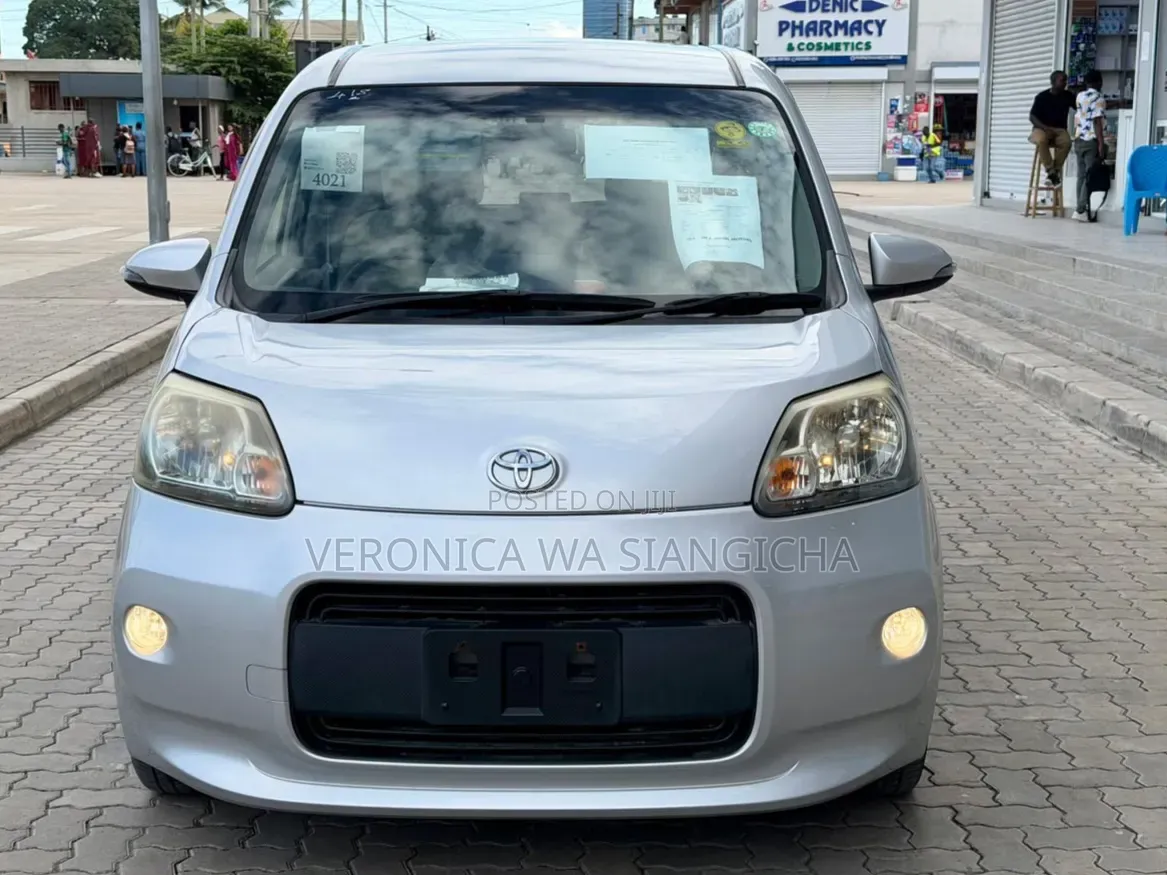Toyota Porte 2012 Silver
