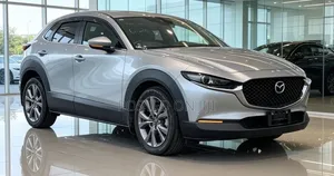 Mazda CX-3 2019 Silver
