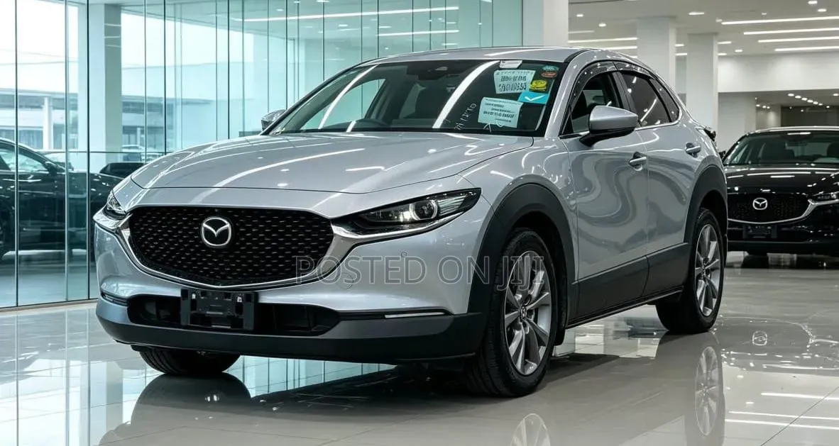 Mazda CX-3 2019 Silver