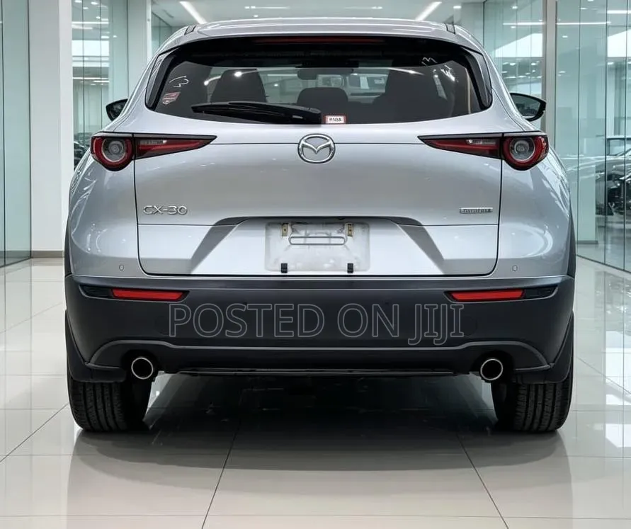 Mazda CX-3 2019 Silver