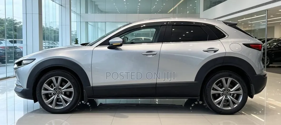 Mazda CX-3 2019 Silver