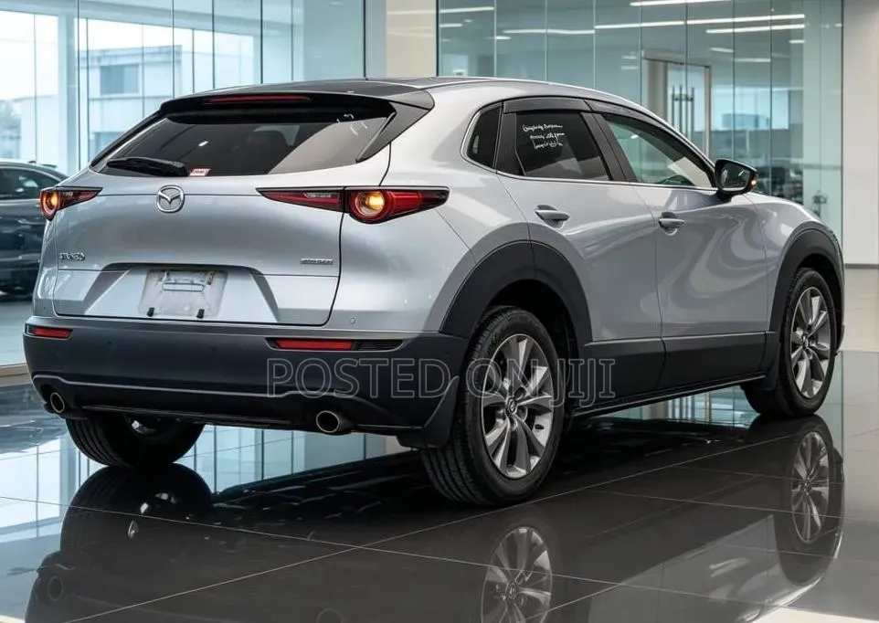 Mazda CX-3 2019 Silver