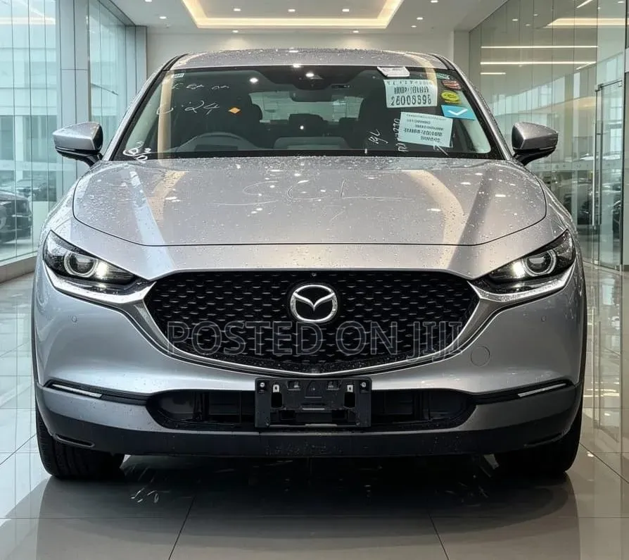Mazda CX-3 2019 Silver