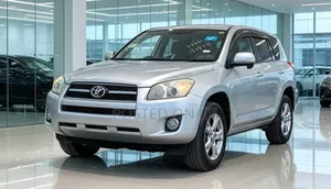 Toyota RAV4 2009 Silver