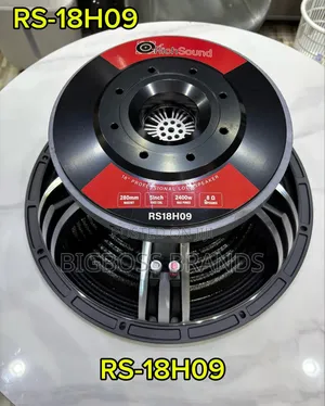 Richsound 18’ Professional Speaker 280mm Magnet 5’ Voice Coil 2400w