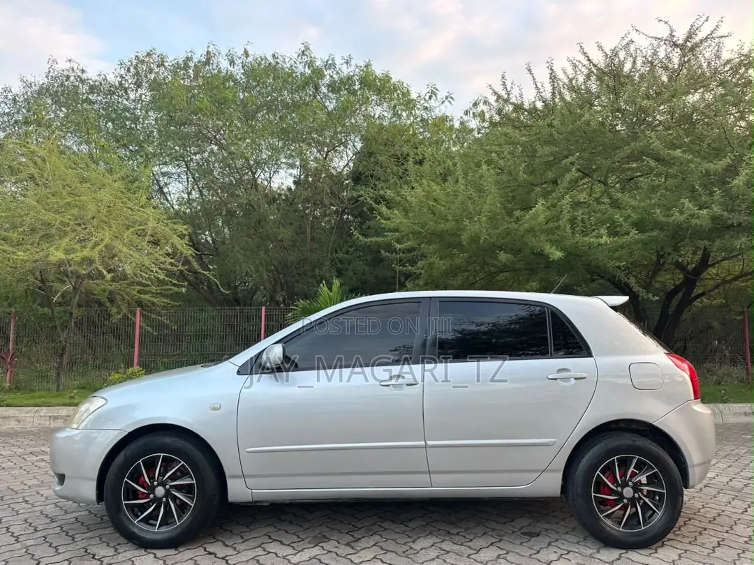 Toyota Corolla RunX 2004 Silver