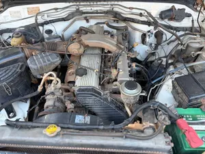 Toyota Land Cruiser 2000 White