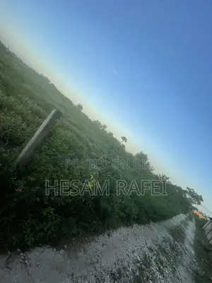 Plots for Sale in Nungwi
