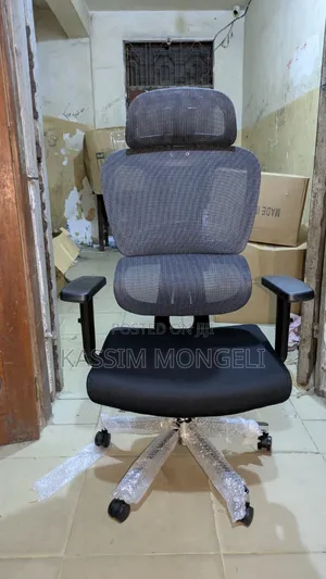 Ergonomic Chairs