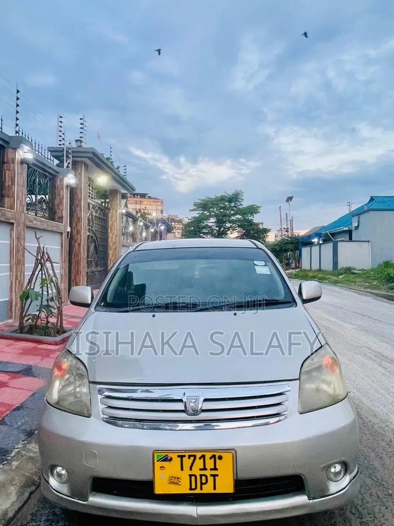 Toyota Raum 2003 Gray