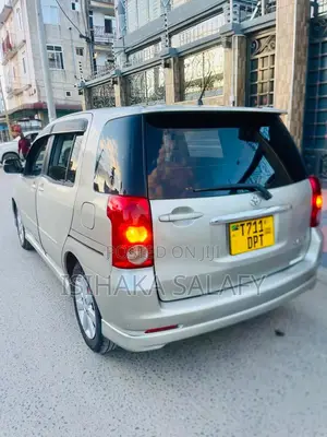 Toyota Raum 2003 Gray