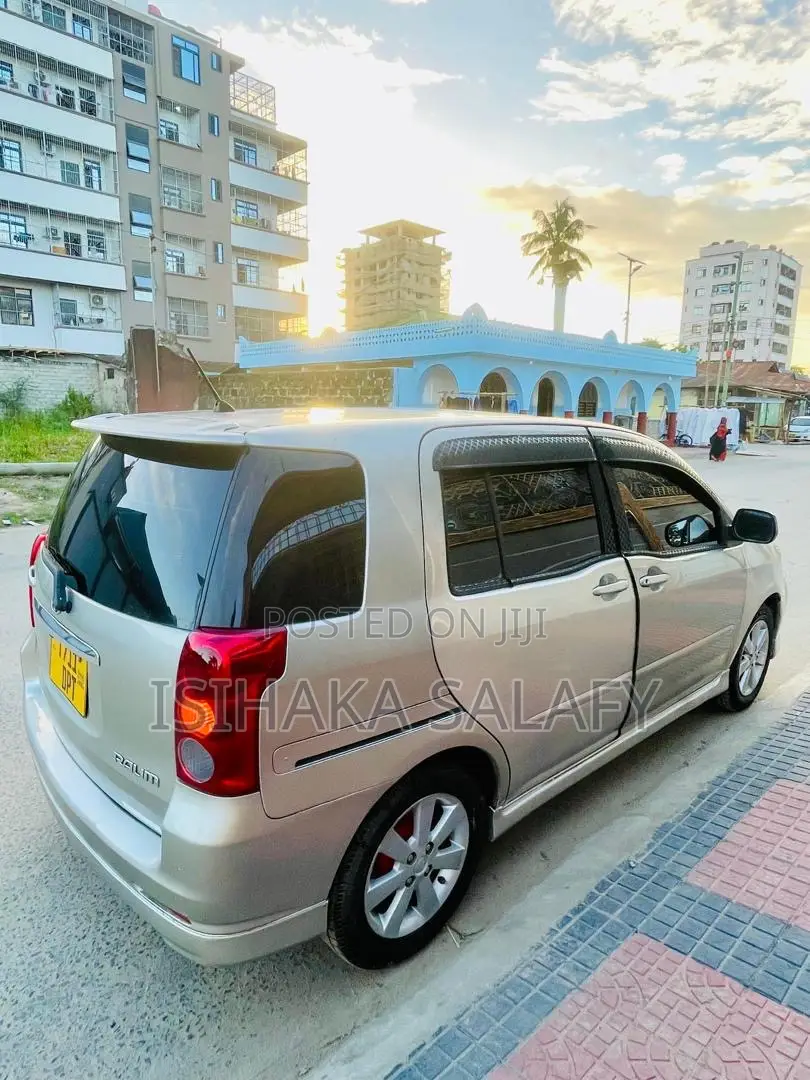 Toyota Raum 2003 Gray
