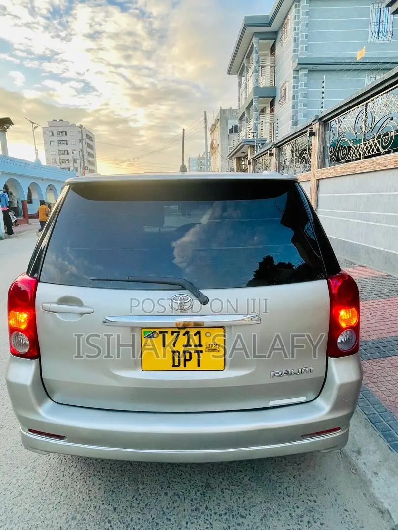 Toyota Raum 2003 Gray