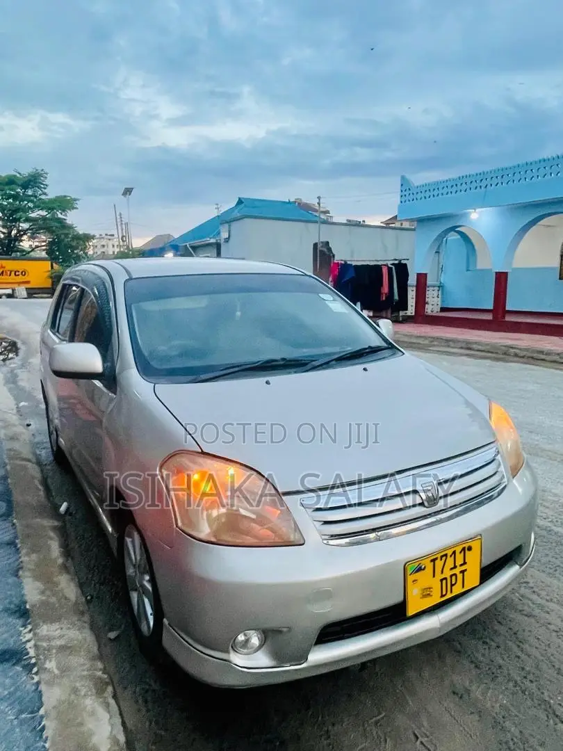 Toyota Raum 2003 Gray