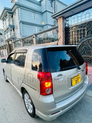 Toyota Raum 2003 Gray