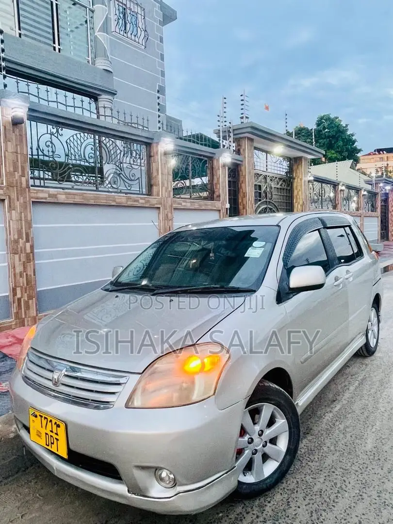Toyota Raum 2003 Gray