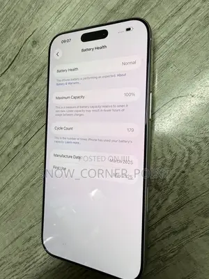 Apple iPhone 16 Pro Max 256 GB Silver