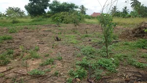Kiwanja Cha 30x25 Kinauzwa Kiwangwa Bagamoyo Pwani
