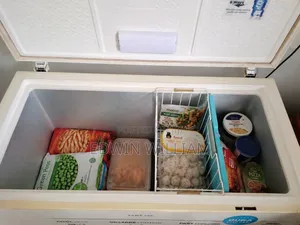 Samsung Chest Deep Freezer