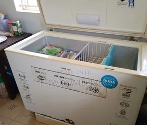 Samsung Chest Deep Freezer