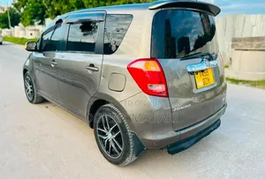 Toyota Ractis 2009 Gray