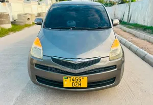 Toyota Ractis 2009 Gray