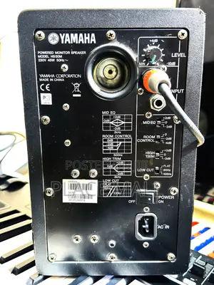 Monitor Speakers