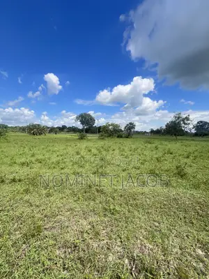 Plot for Sale