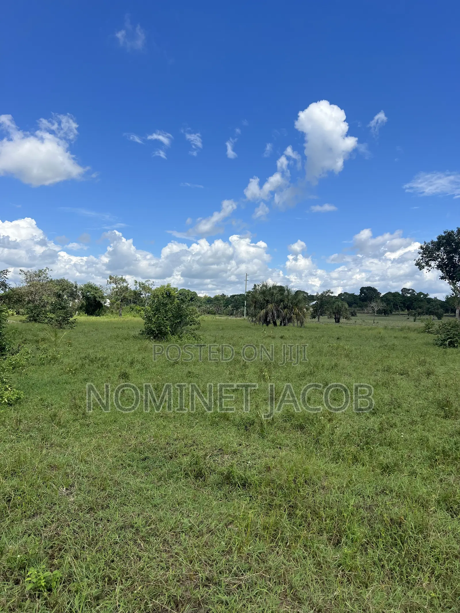 Plot for Sale