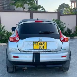 Nissan Juke 2011 Silver