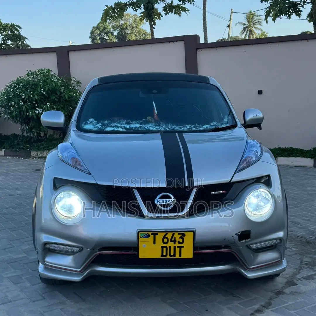 Nissan Juke 2011 Silver