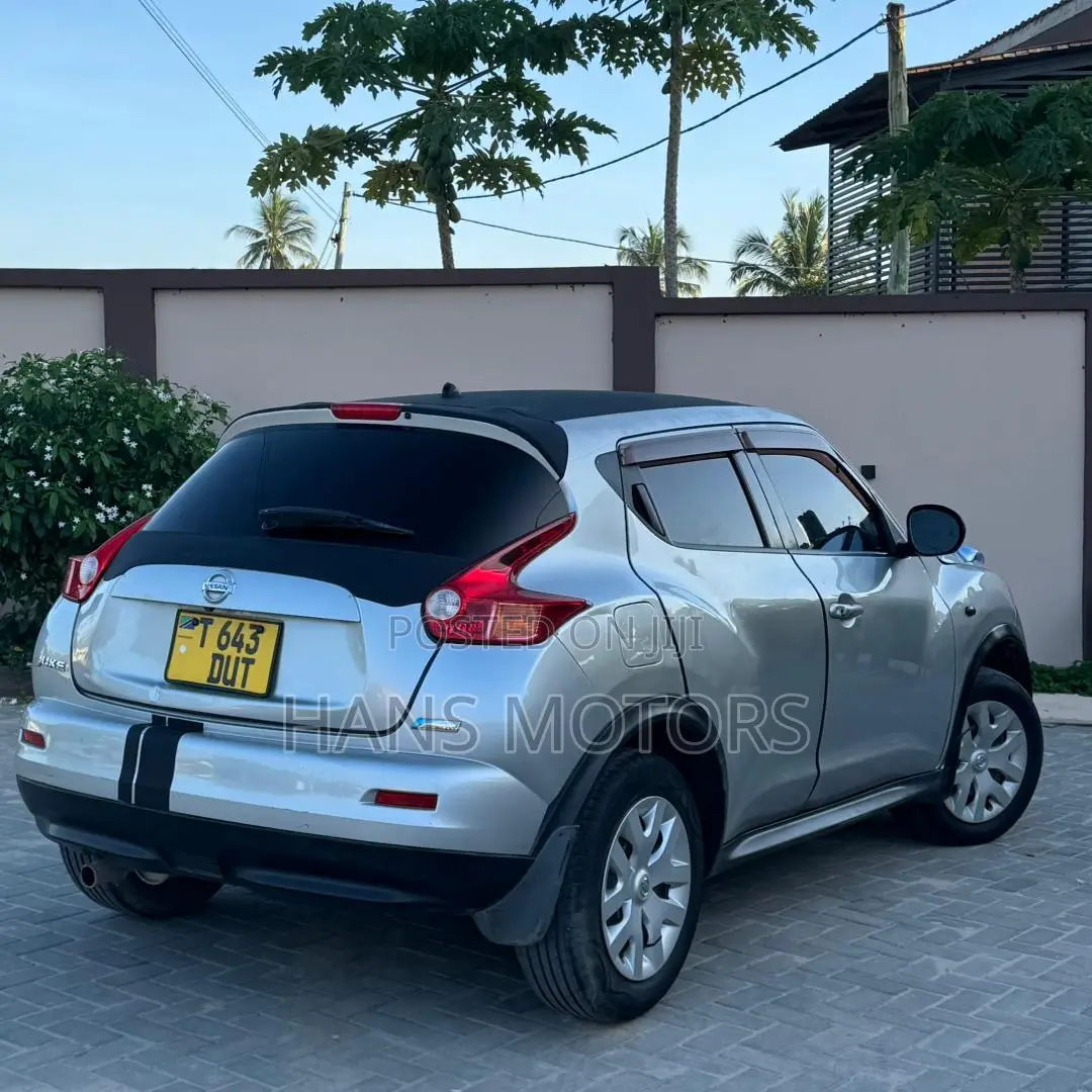 Nissan Juke 2011 Silver