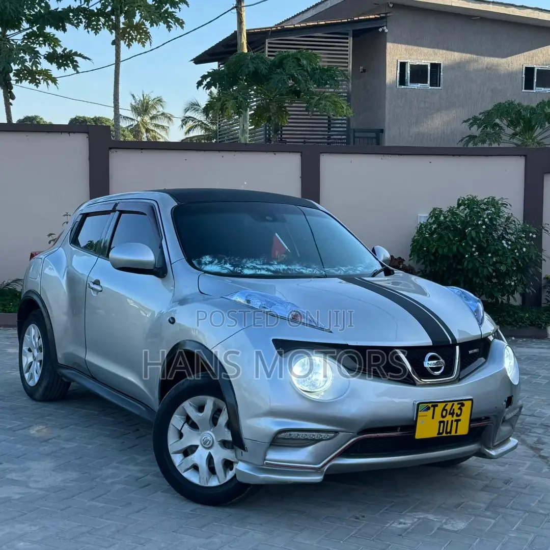 Nissan Juke 2011 Silver