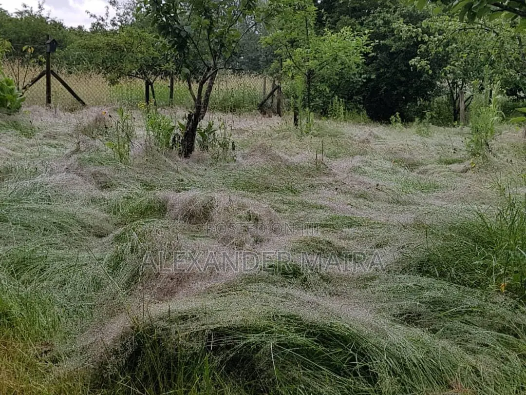 Prime 12-Acre Property for Sale in Arusha, Tanzania