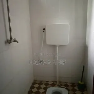 2bdrm House in Mikocheni for rent