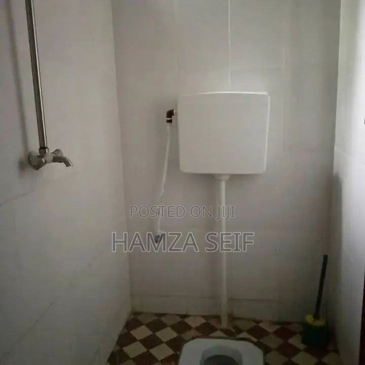 2bdrm House in Mikocheni for rent