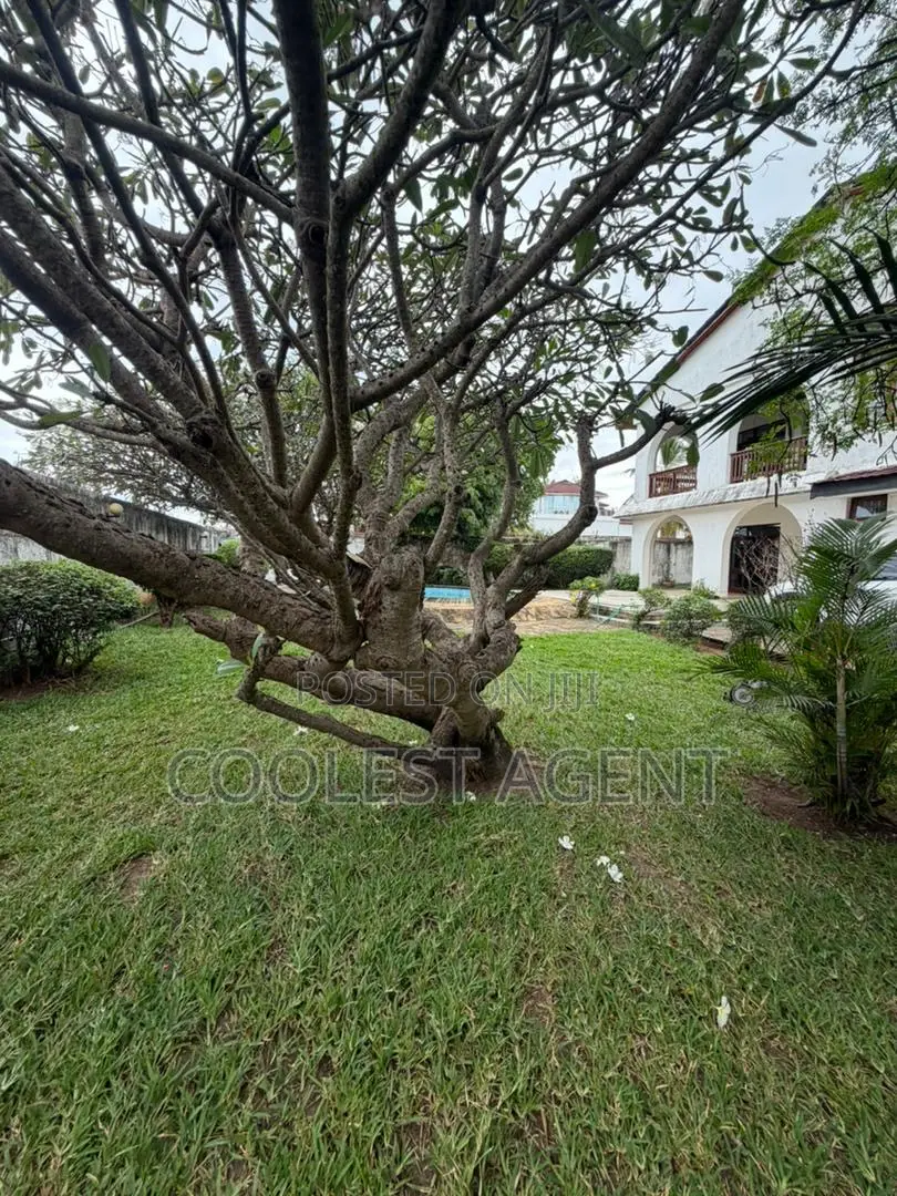 4bdrm House in Coolest Estate, Masaki for rent