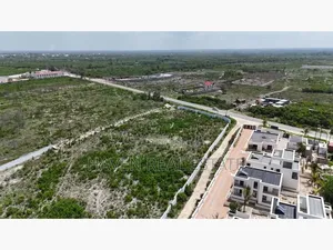 Exclusive Development Opportunity in Bwejuu, Zanzibar