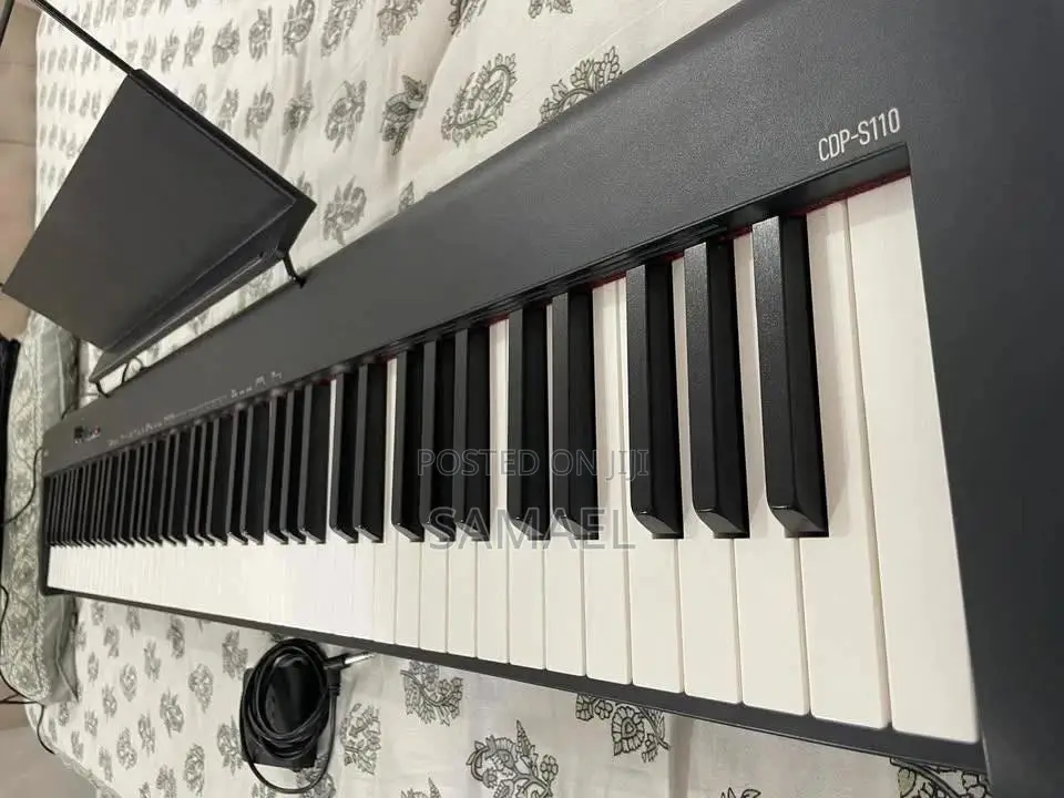 Casio CDP-S110 Professional Digital Piano