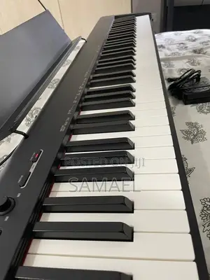 Casio CDP-S110 Professional Digital Piano