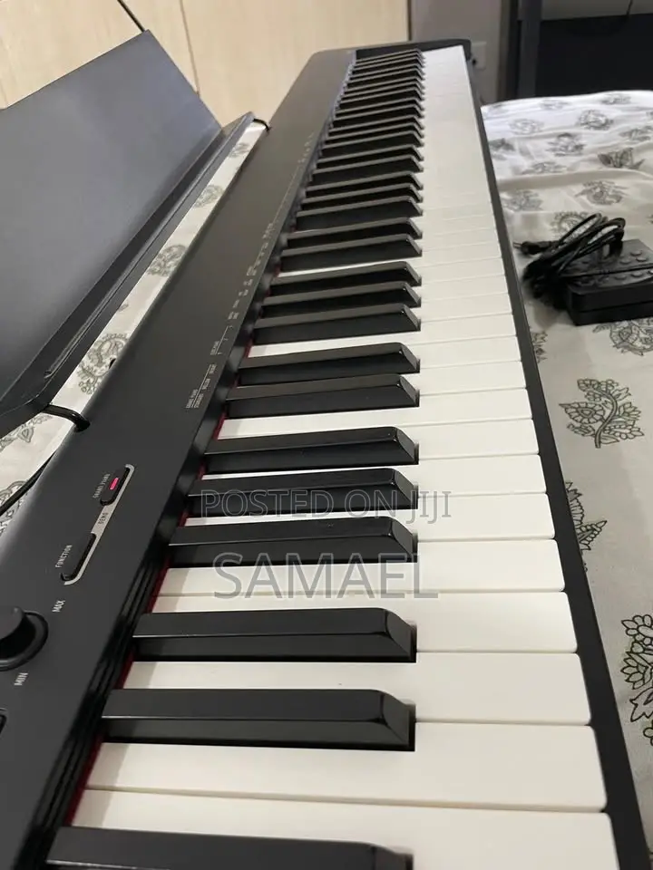 Casio CDP-S110 Professional Digital Piano