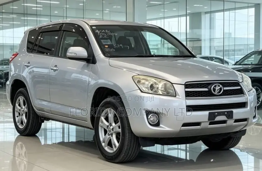 Toyota RAV4 2009 Silver