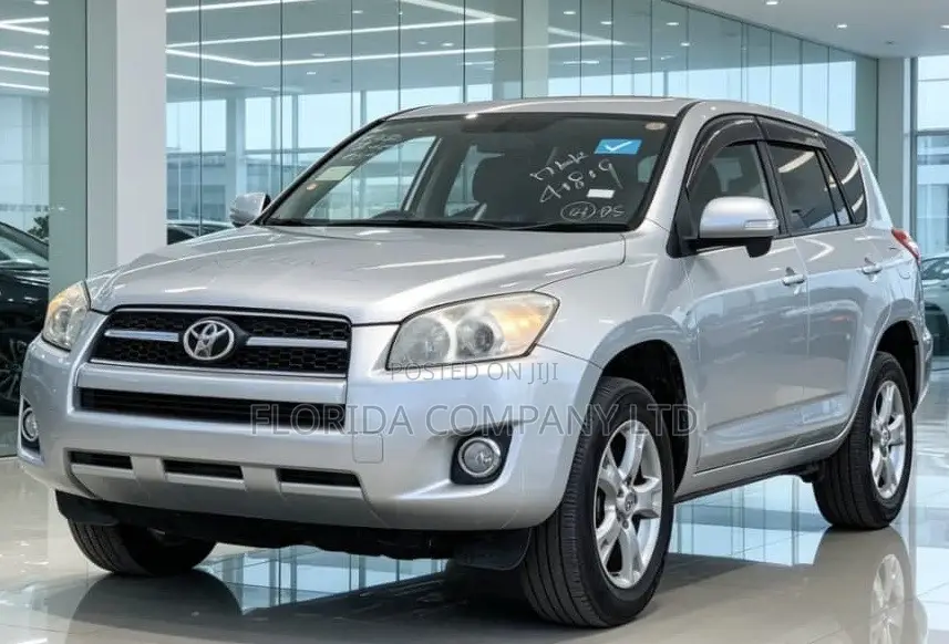 Toyota RAV4 2009 Silver