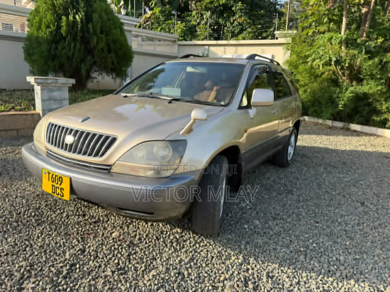 Toyota Harrier 2.4 4WD 2004 Gold