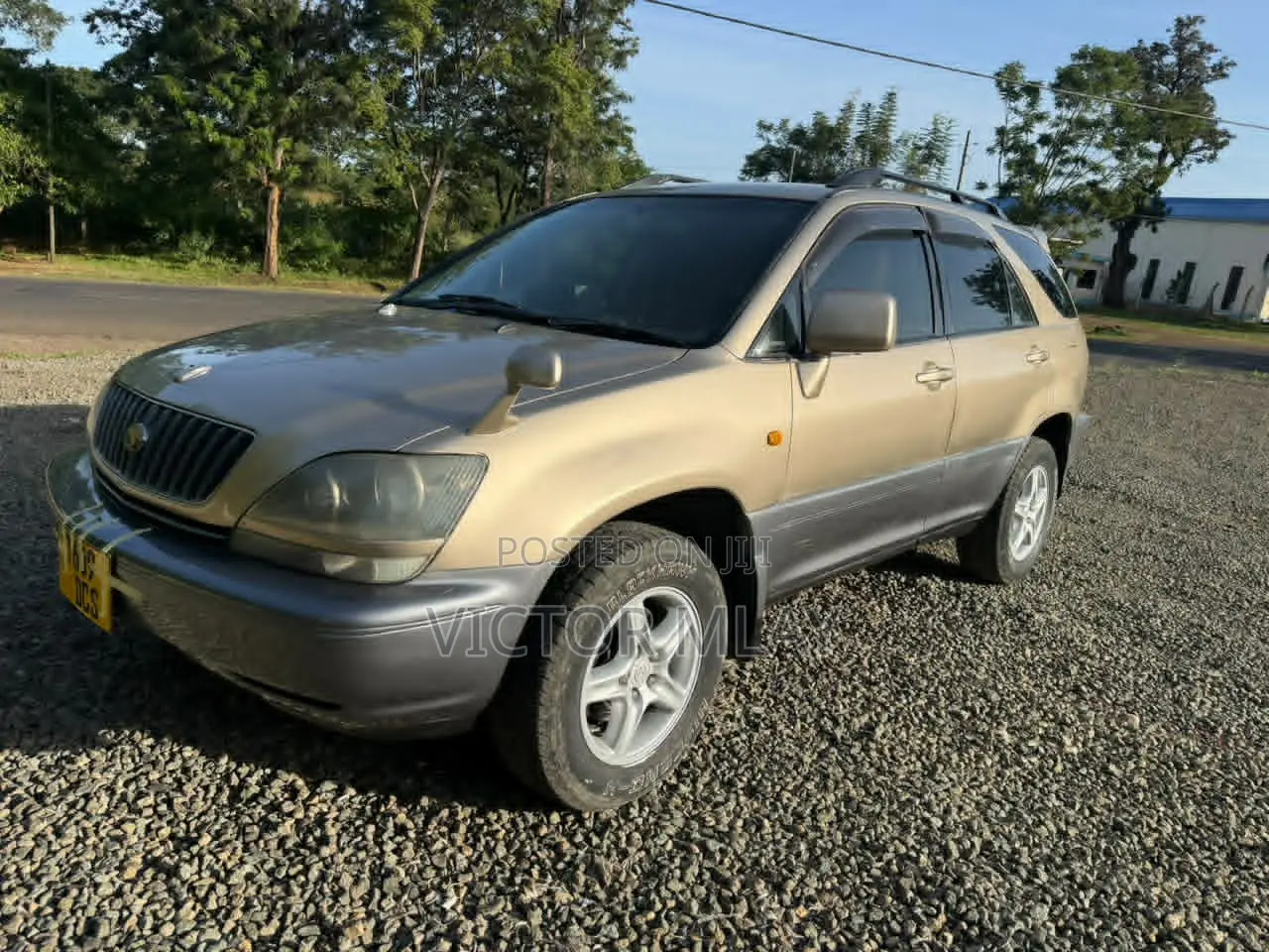Toyota Harrier 2.4 4WD 2004 Gold