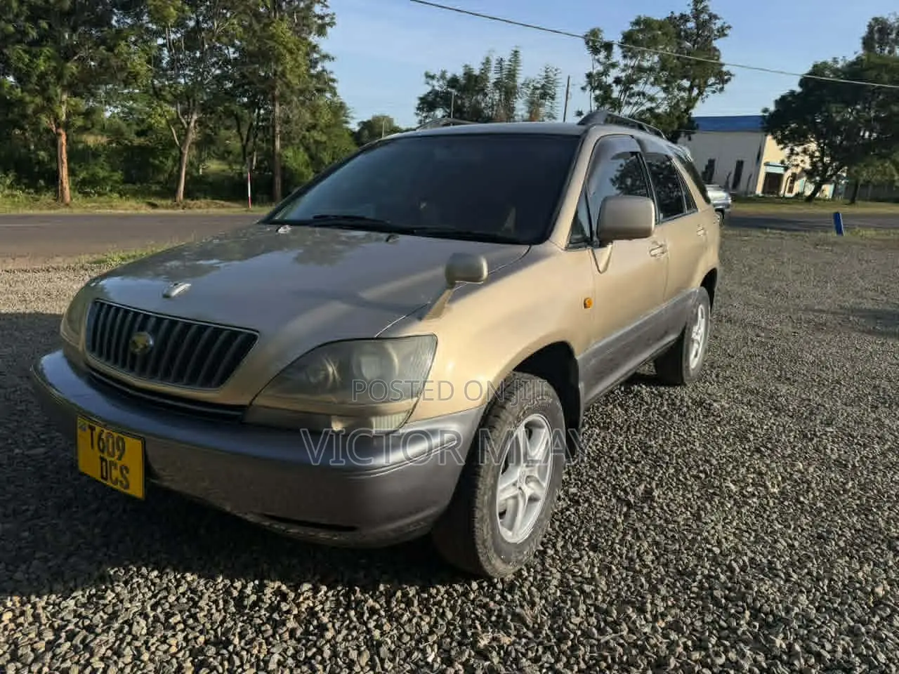 Toyota Harrier 2.4 4WD 2004 Gold