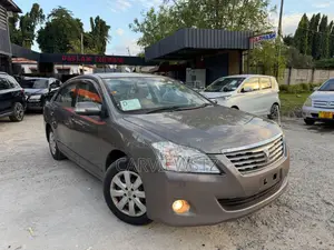 Toyota Premio 1.8 AWD 2009 Brown